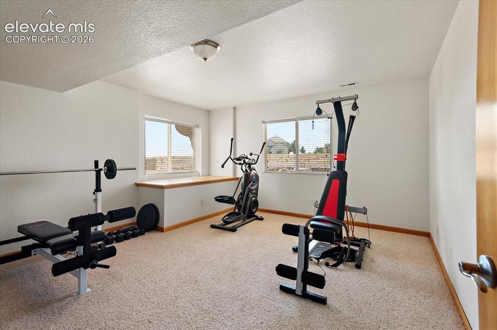 Image 39 of 47: Spacious room with plush carpet flooring, crisp white walls, and two window