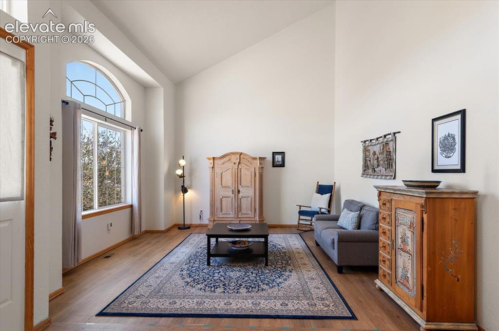 Image 5 of 47: Living area with vaulted ceilings, wood-finish flooring, and a large arched
