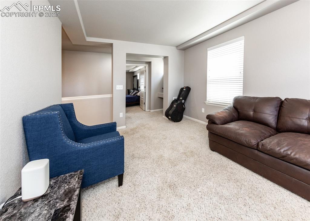 Image 23 of 40: Living room featuring carpet floors and baseboards