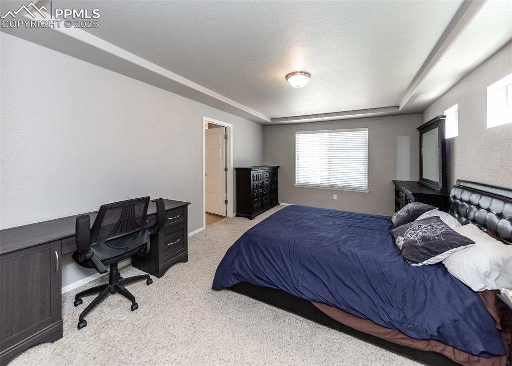 Image 26 of 40: Bedroom featuring a tray ceiling, multiple windows, carpet floors, and an o