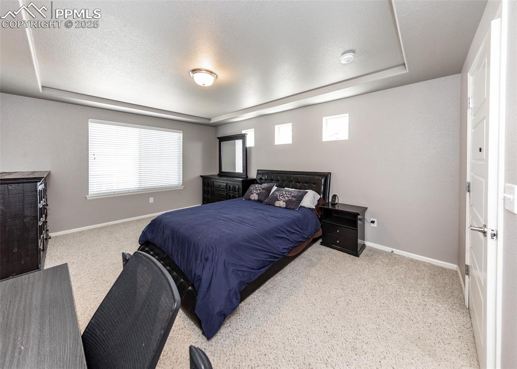 Image 27 of 40: Carpeted bedroom with a raised ceiling