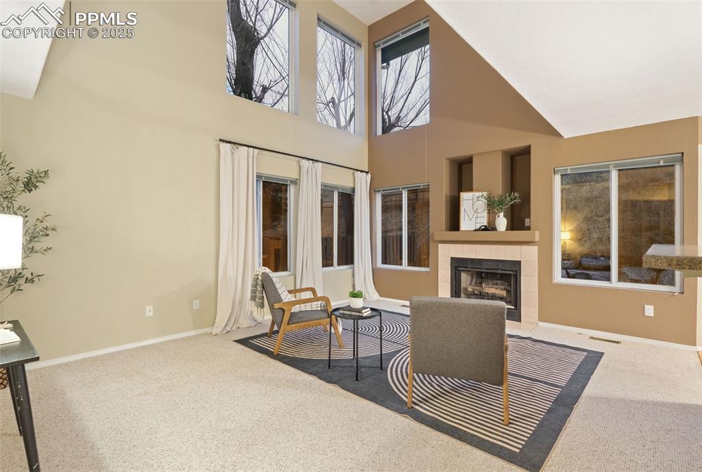 Image 14 of 37: Other