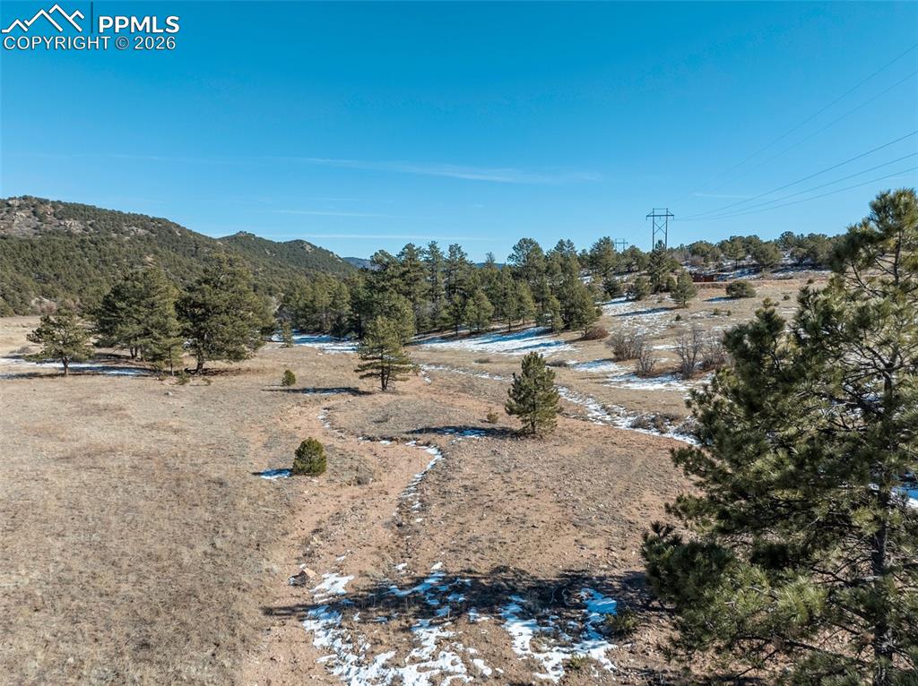 Image 18 of 43: Yard