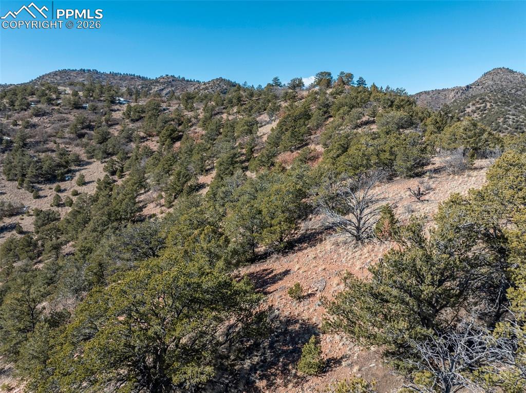 Image 19 of 43: View