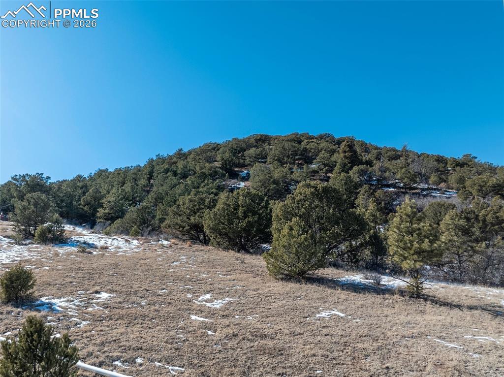 Image 26 of 43: View