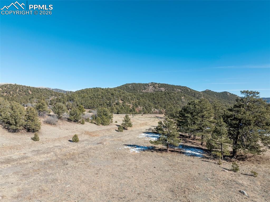 Image 38 of 43: View