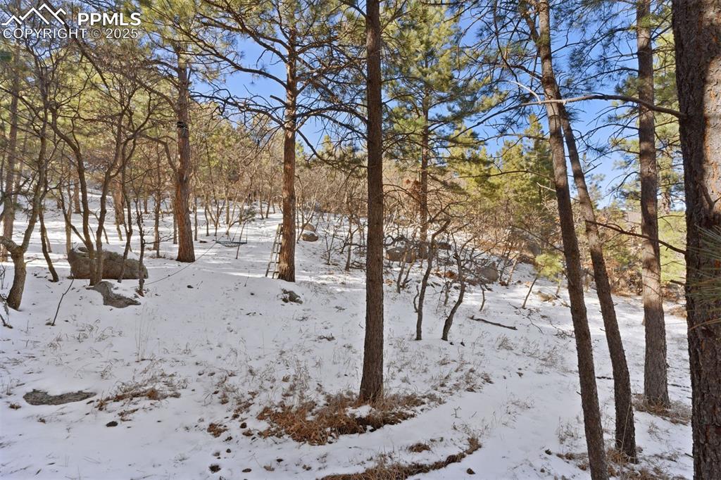 Image 10 of 25: Yard