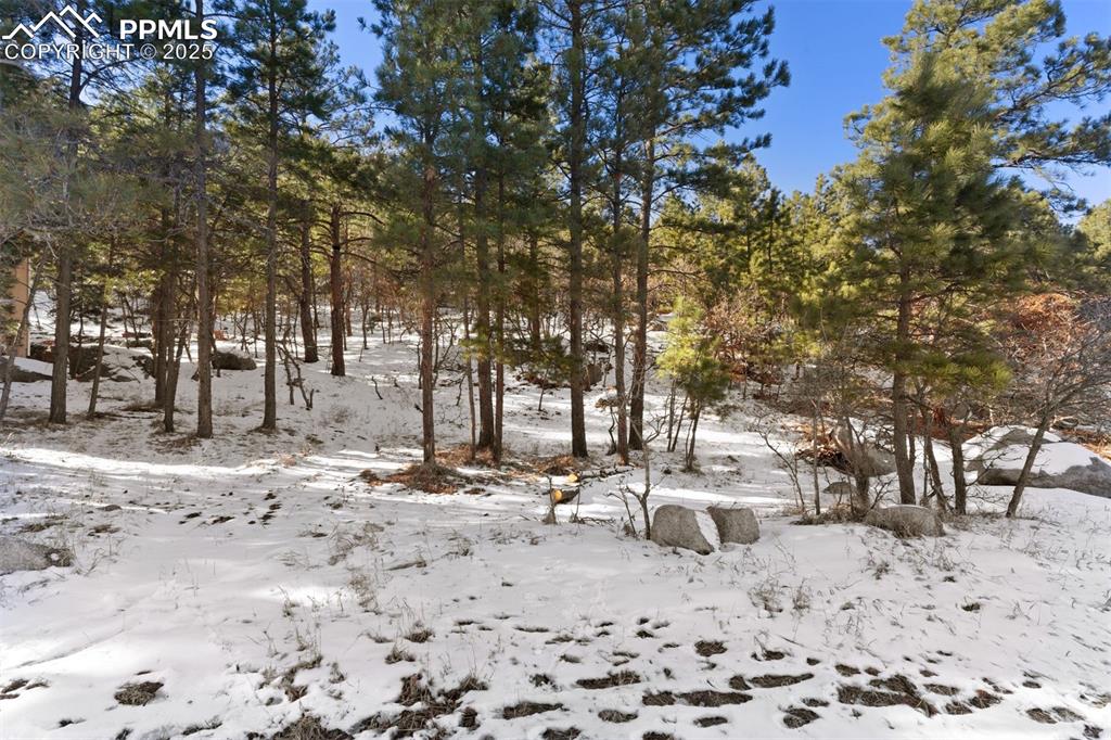 Image 12 of 25: Other