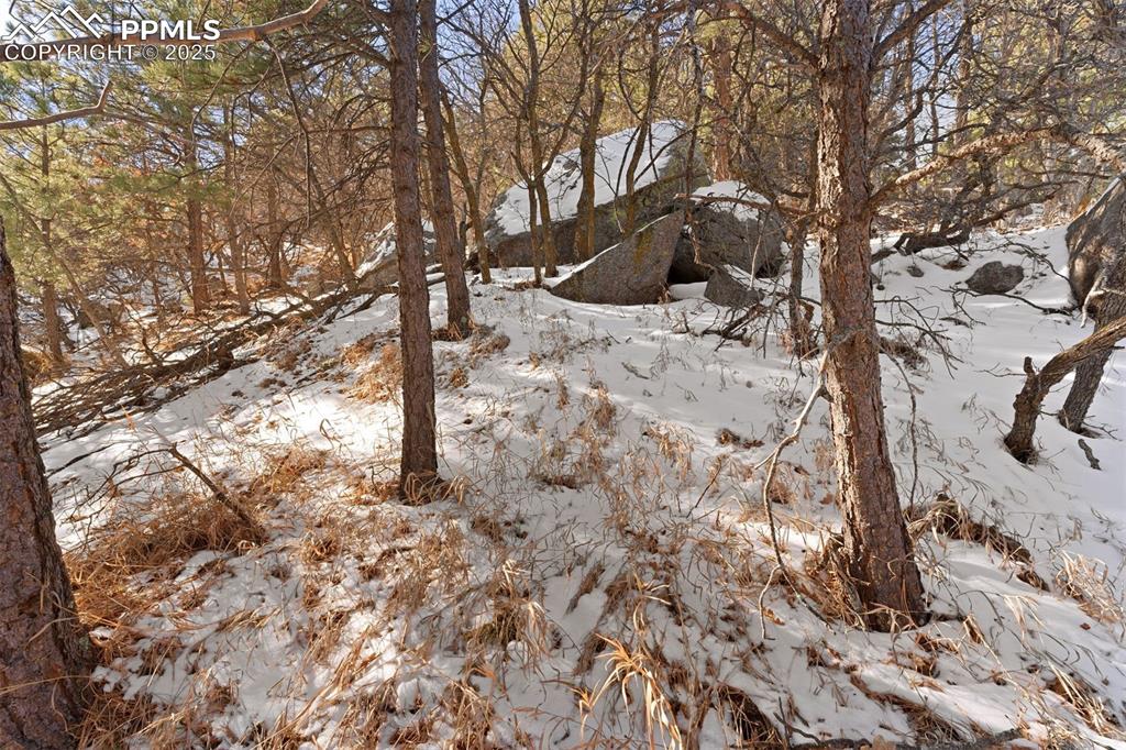 Image 16 of 25: Other