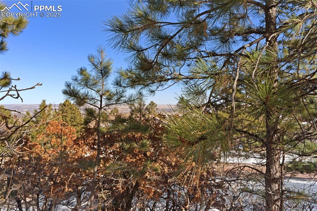 Image 18 of 25: Other