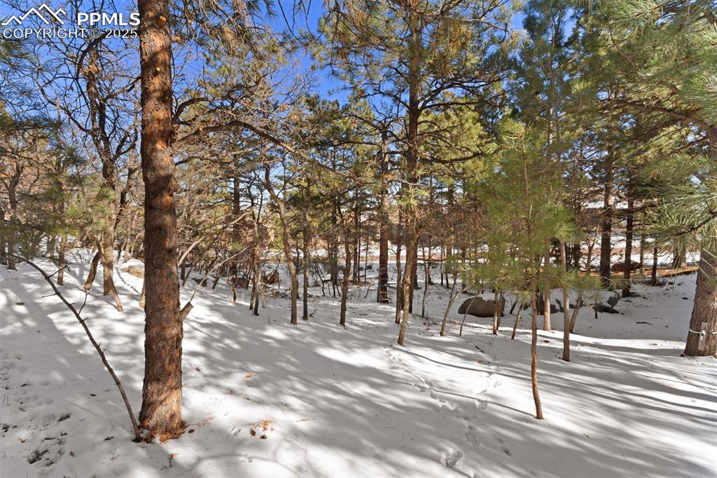 Image 20 of 25: Community