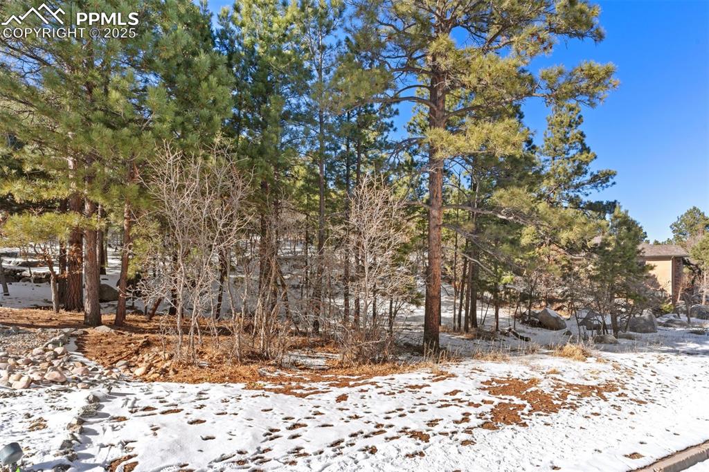 Image 23 of 25: Other