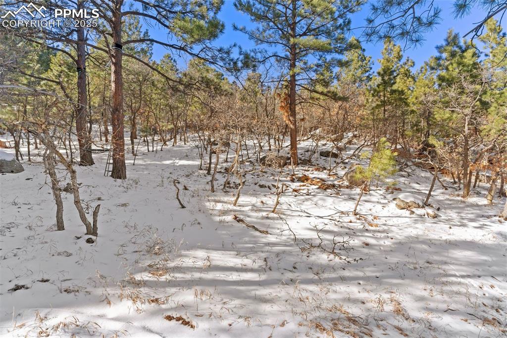 Image 24 of 25: Other