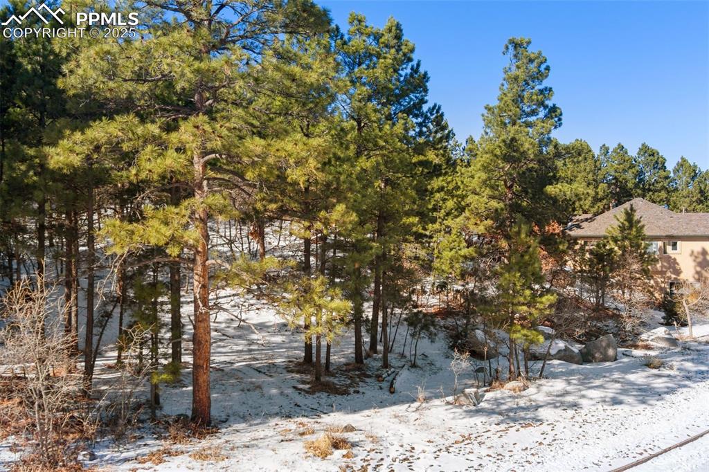 Image 4 of 25: Other