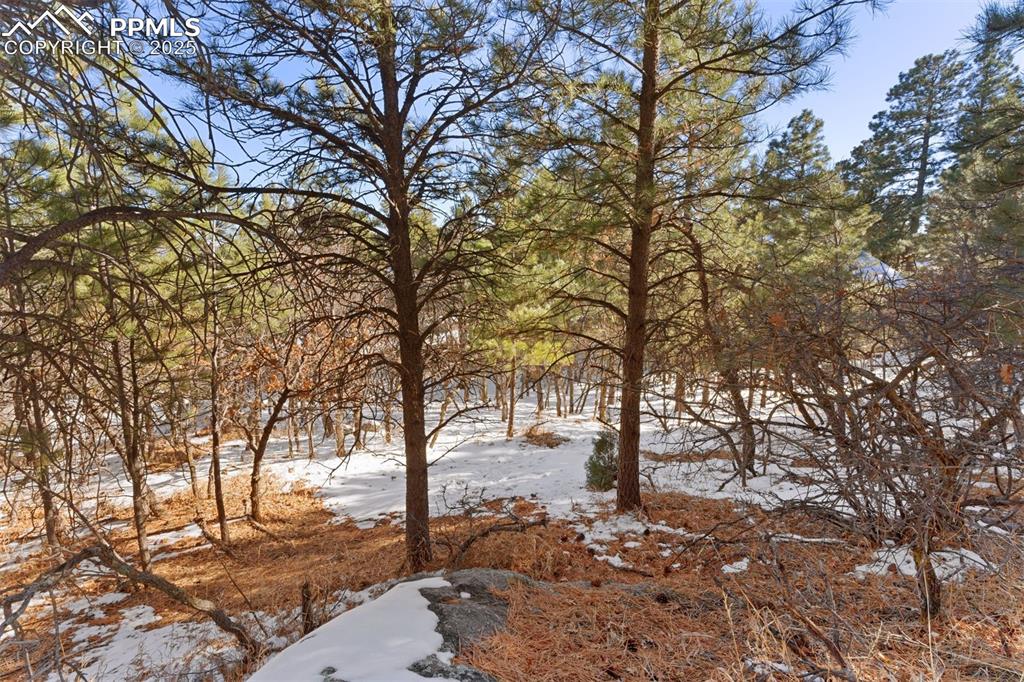 Image 6 of 25: Other