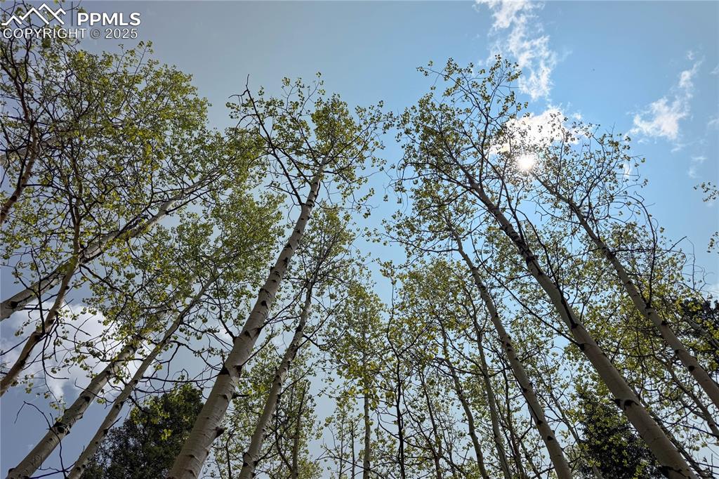 Image 12 of 13: Perfect for a mountain getaway