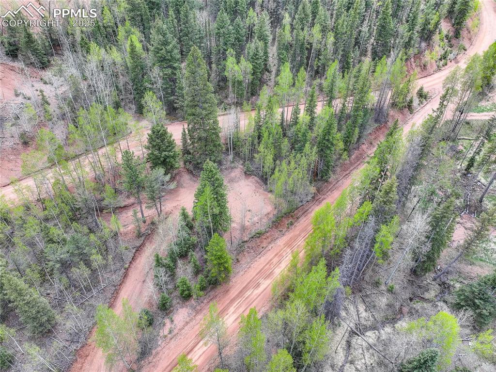 Image 5 of 13: Pre-graded driveway off Willow Rd