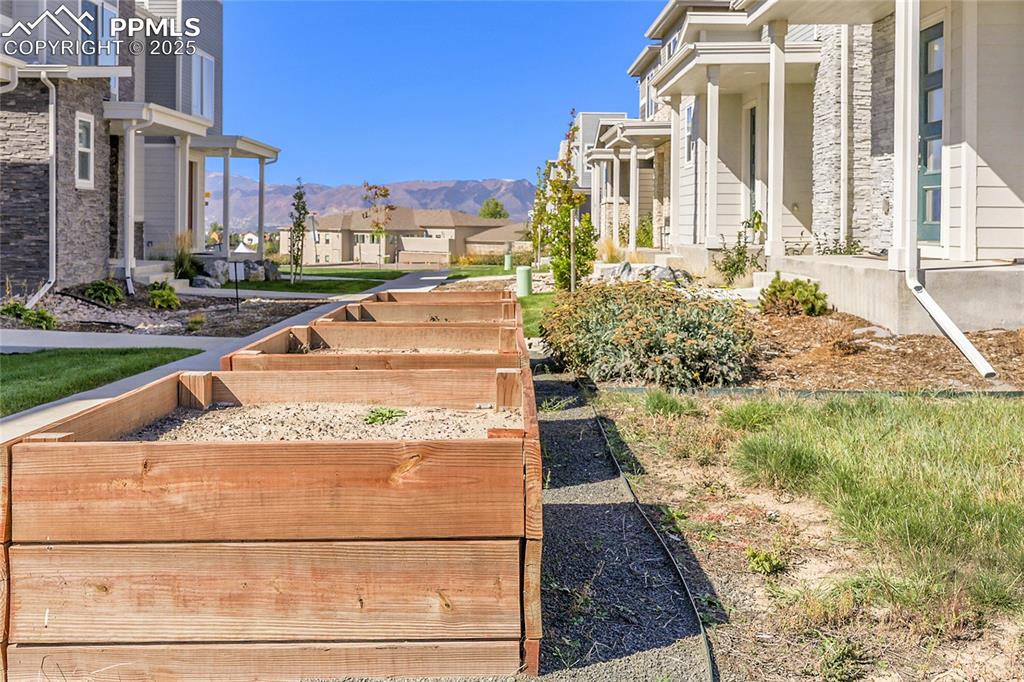 Image 19 of 21: Community planter boxes