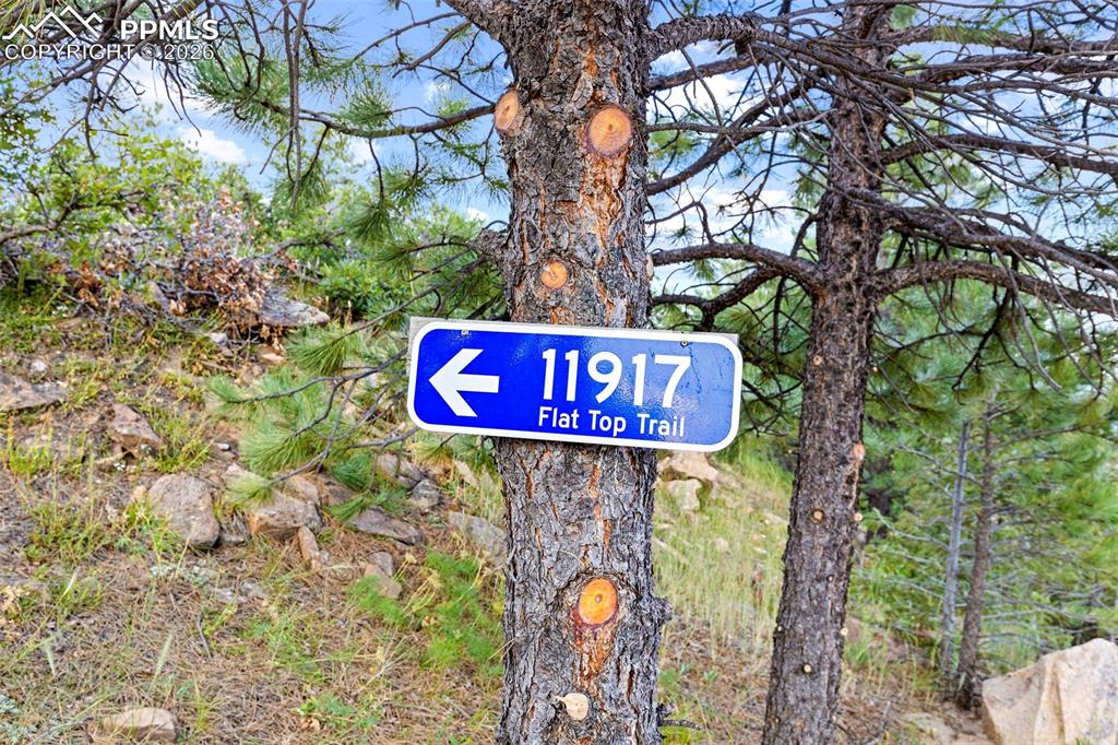 Image 14 of 18: Yard