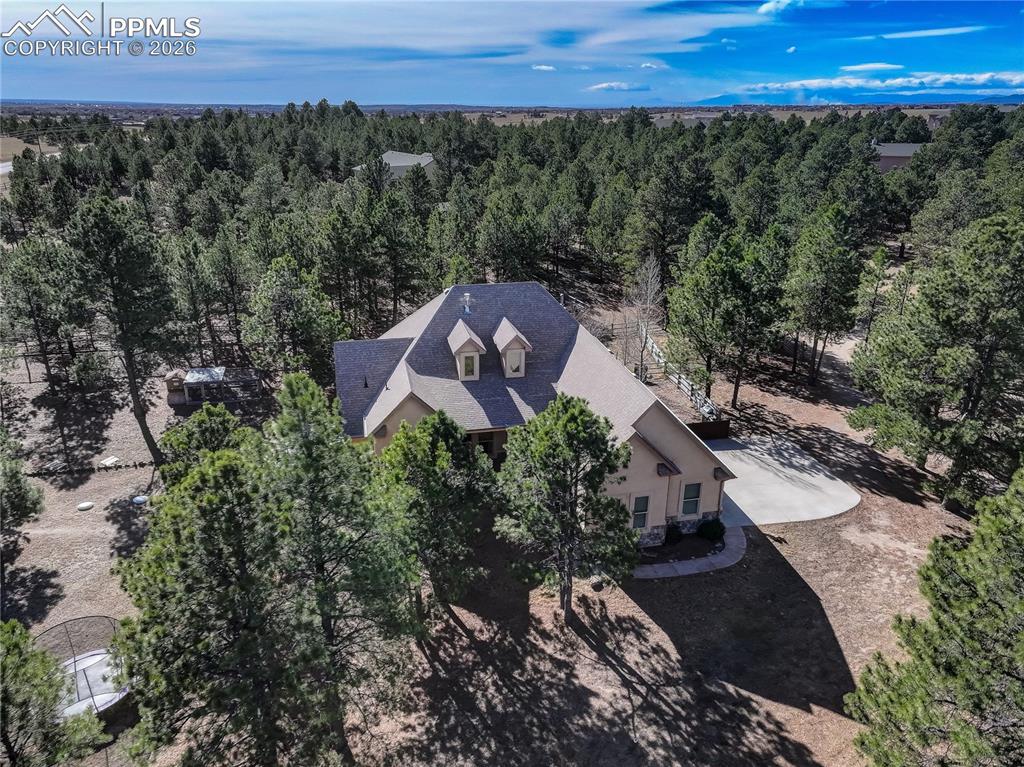 Image 32 of 35: Mature trees for privacy