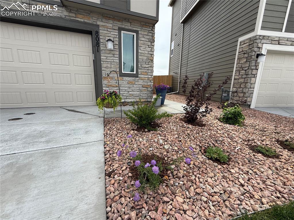 Image 43 of 47: Front of Structure