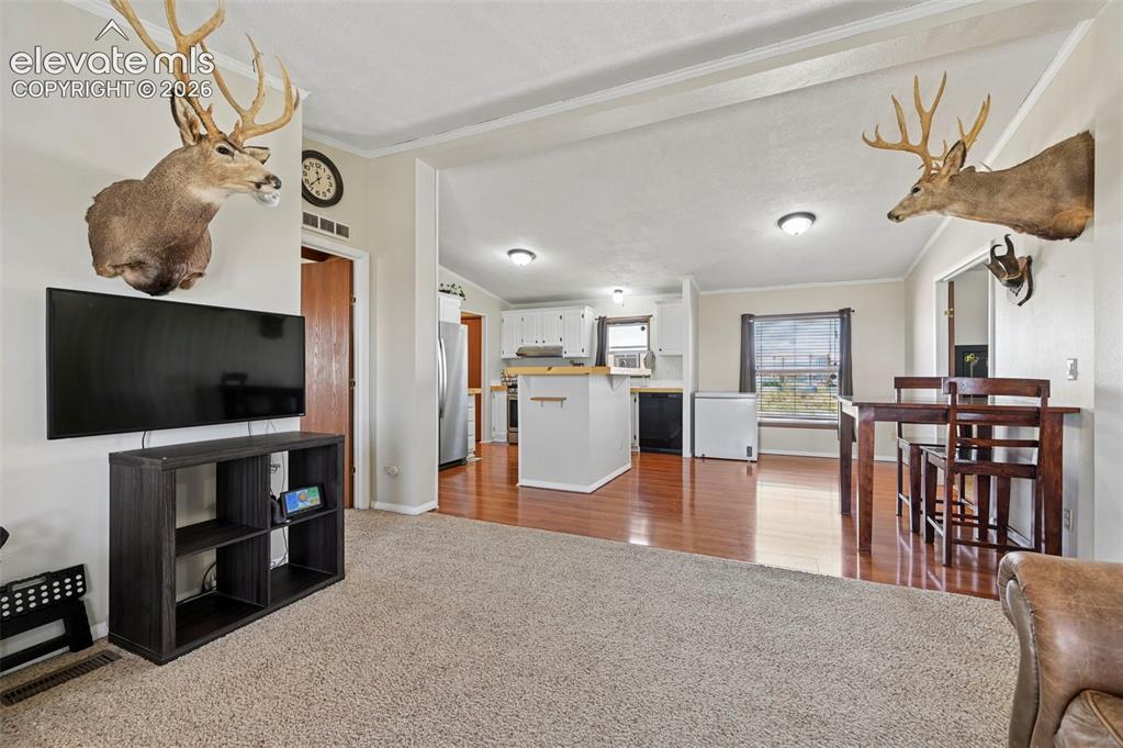 Image 11 of 36: Open-concept living area featuring light-colored walls and a carpeted floor