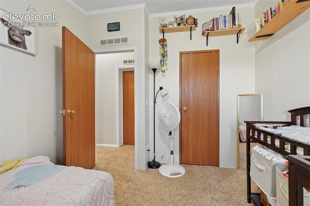 Image 20 of 36: Carpeted interior room featuring light-colored walls and wood-finish doors