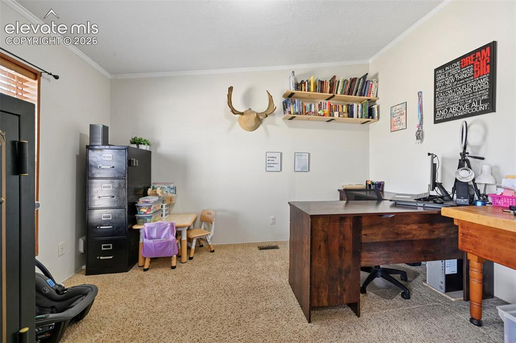 Image 21 of 36: Carpeted interior room with neutral walls and crown molding