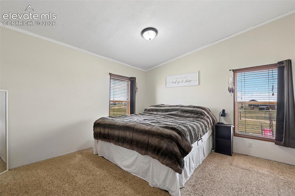 Image 26 of 36: Neutral wall paint, light-colored carpeting, and two windows with horizonta