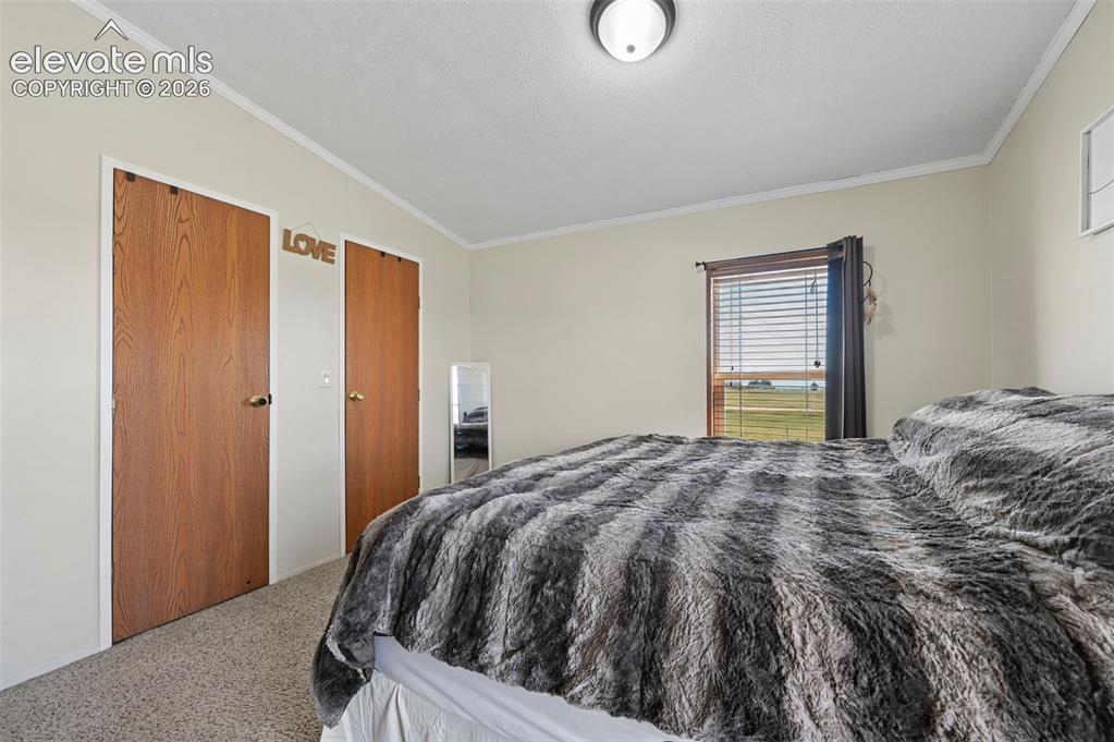Image 27 of 36: Carpeted room with two wood-finish doors, a single window, and a flush-moun