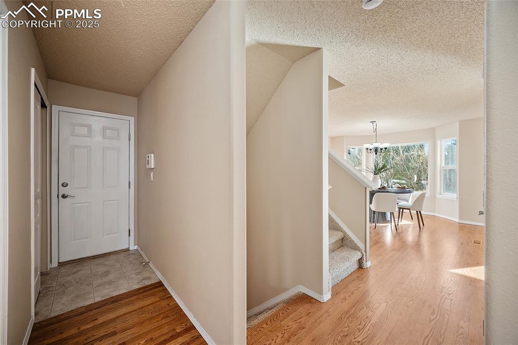 Image 18 of 50: Other