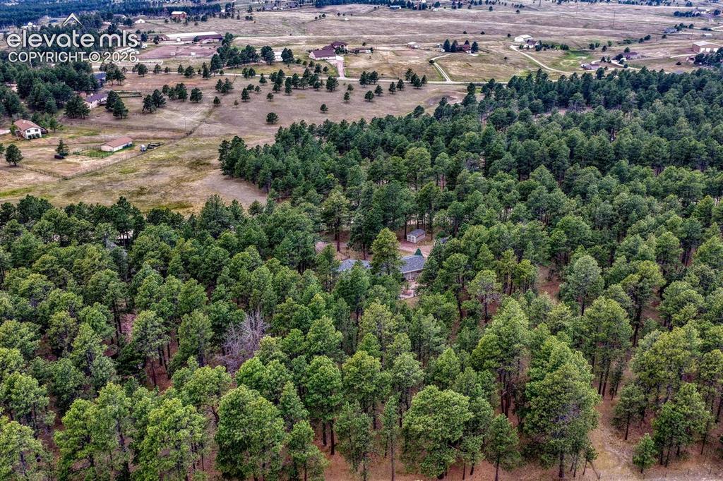 Image 50 of 50: Aerial View