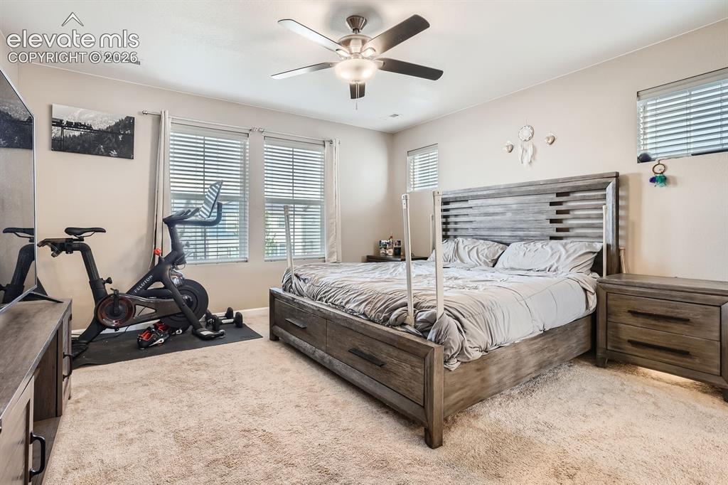 Image 13 of 28: Carpeted room featuring a ceiling fan with integrated lighting, multiple wi