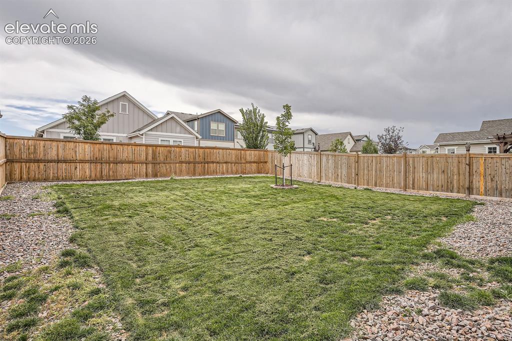 Image 27 of 28: Expansive lawn area featuring a newly planted tree