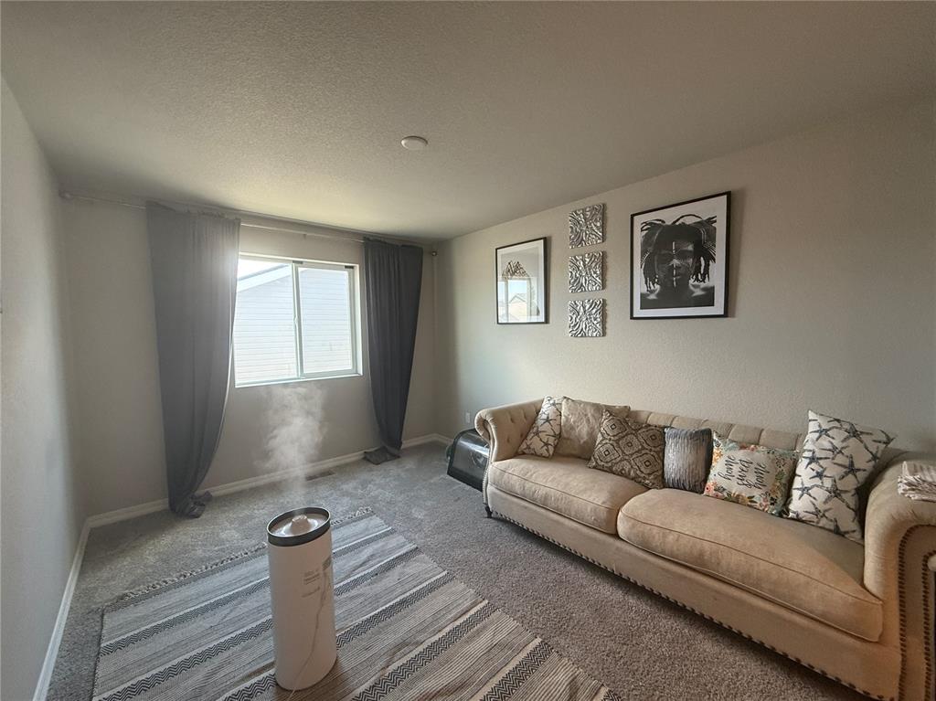 Image 9 of 18: Living Room