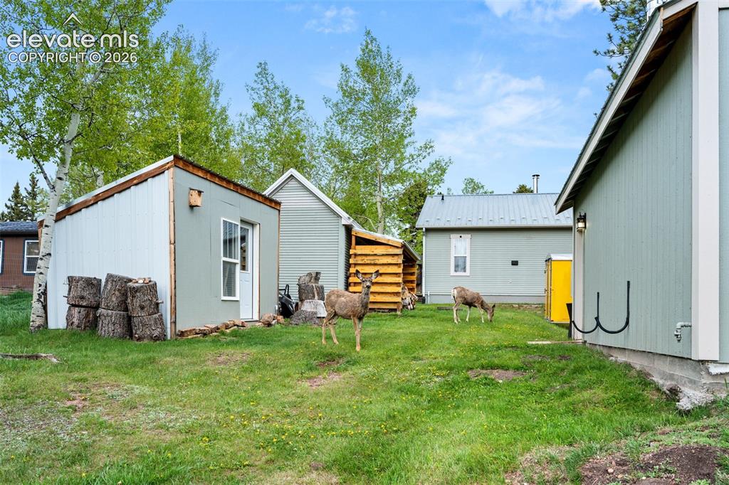 Image 19 of 21: Other