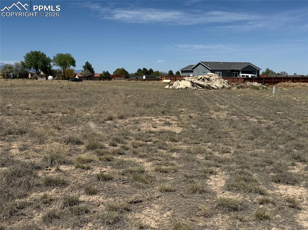 Image 4 of 8: Yard