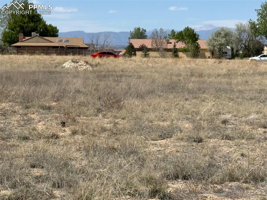 Image 8 of 8: Yard