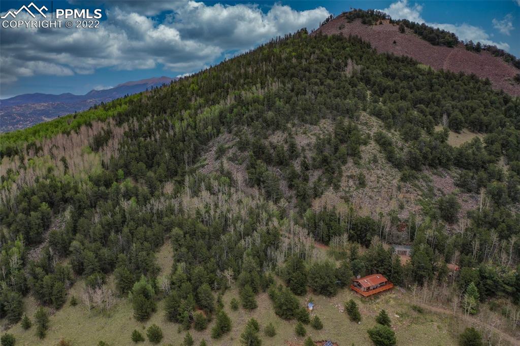 Listing 6041330, Image 2 of 50