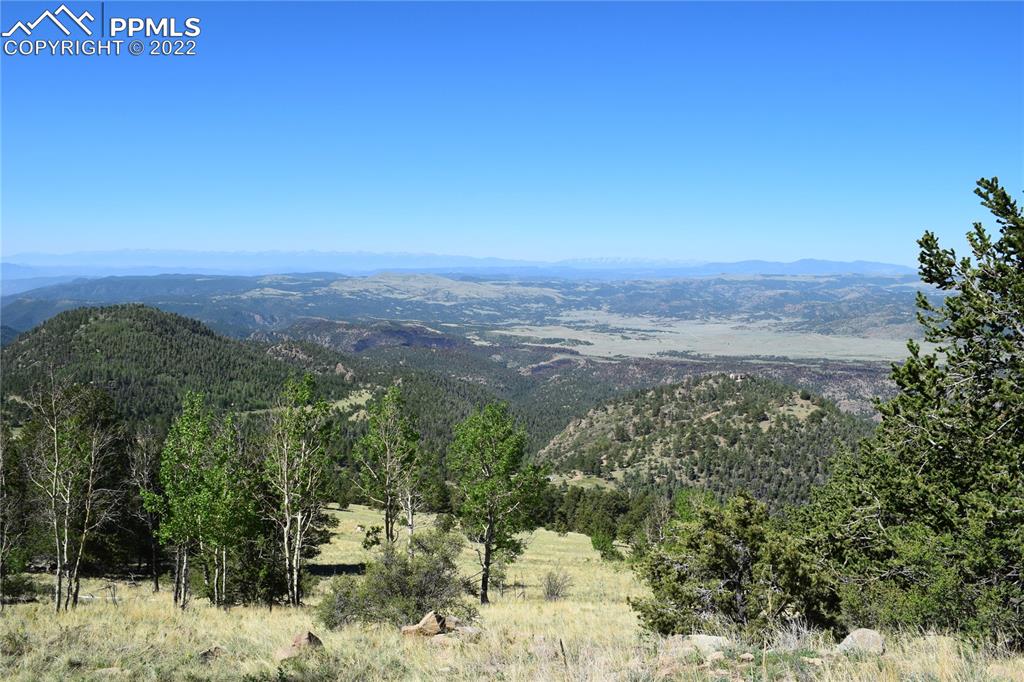 Listing 6041330, Image 46 of 50