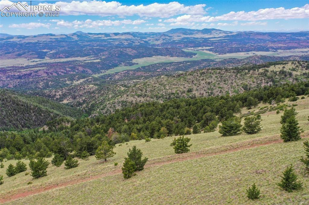 Listing 6041330, Image 6 of 50