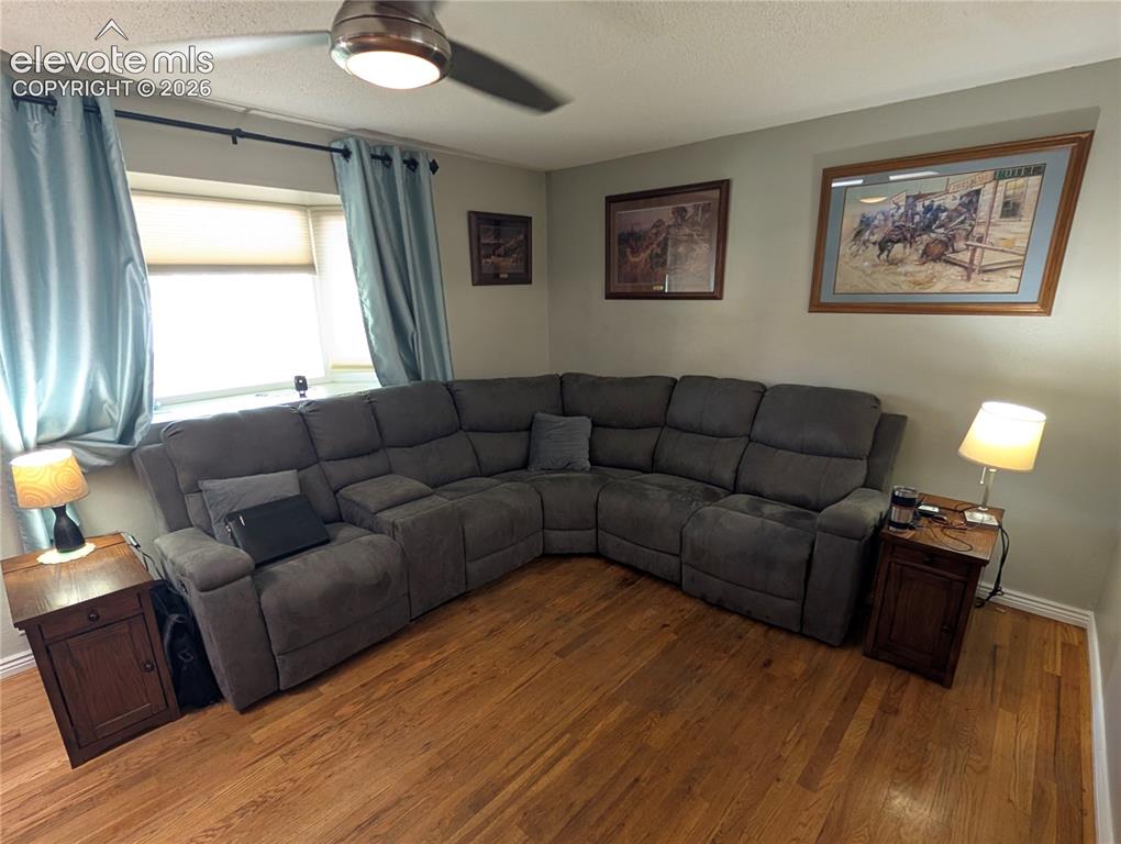 Image 6 of 20: Bay Window and Ceiling Fan in Living Room
