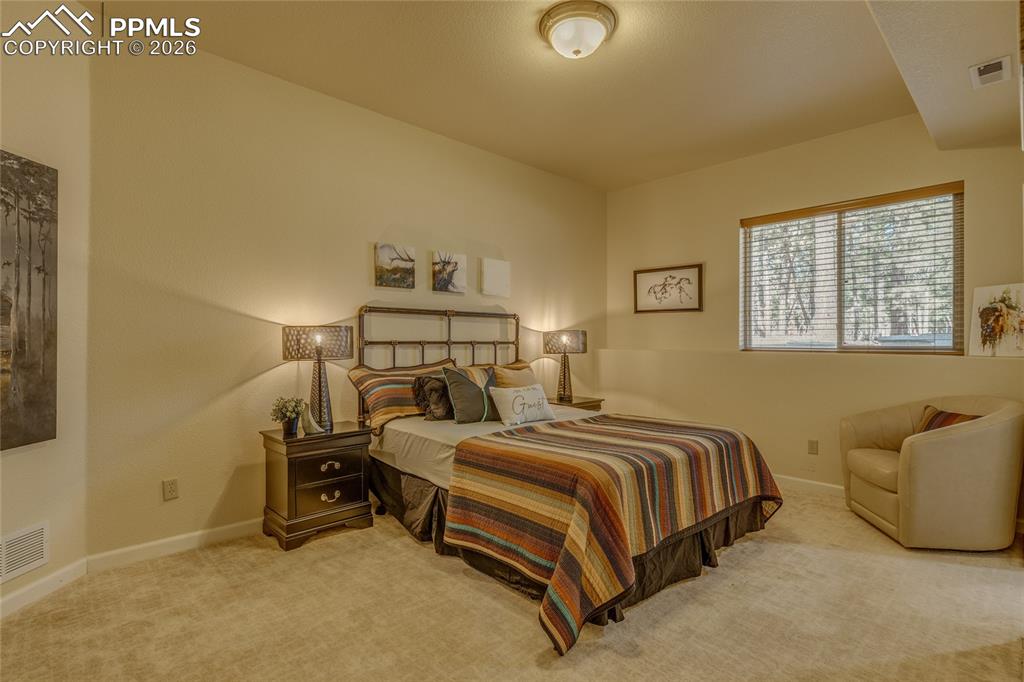 Image 34 of 50: Large basement bedroom.