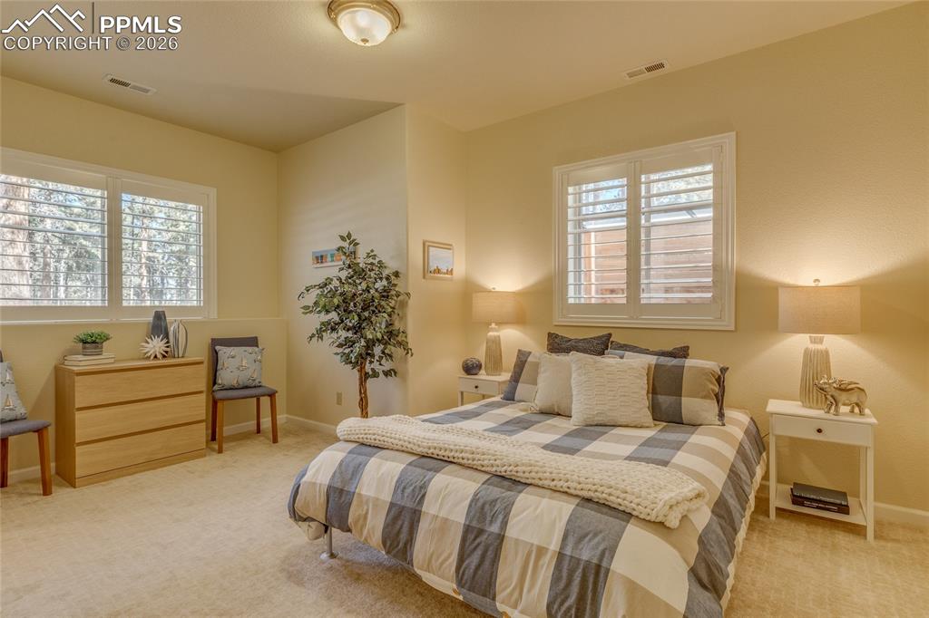 Image 37 of 50: Another great basement bedroom.