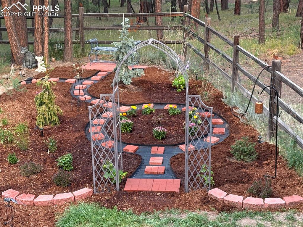 Image 41 of 50: Picture taken during the summer.