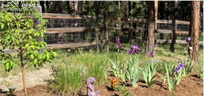 Image 42 of 50: Picture from the summer time