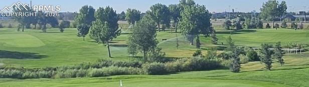 Image 13 of 13: View