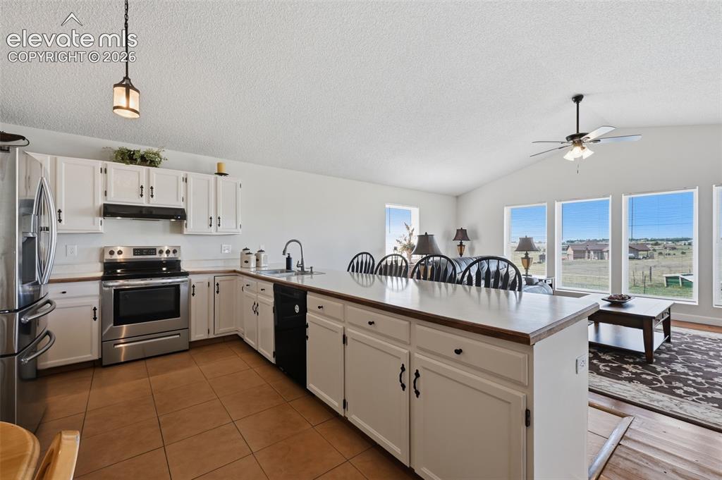 Image 11 of 46: Kitchen