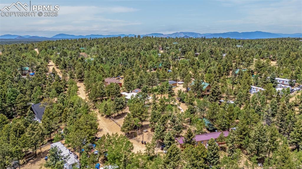 Image 23 of 31: Drone / aerial view of a forest and a mountainous background