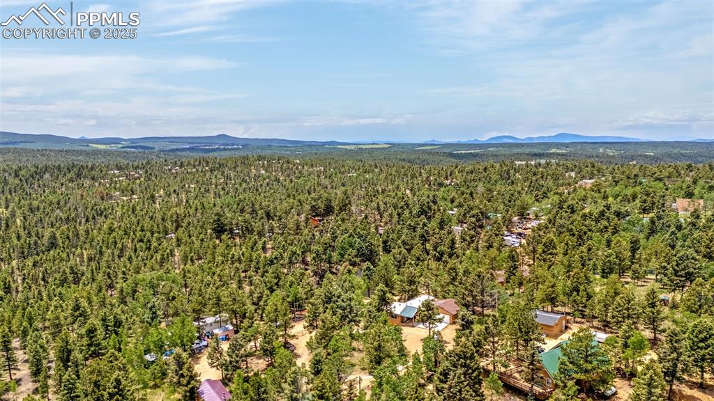 Image 24 of 31: Aerial view of a heavily wooded area and mountains